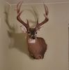 bigcountryboy60